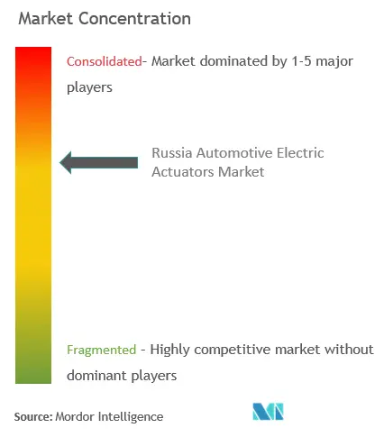 ロシアの自動車用電動アクチュエータ市場集中度