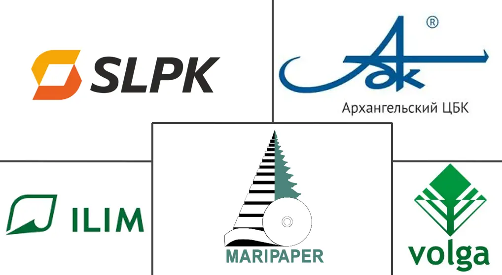 Major players in Russia Containerboard industry