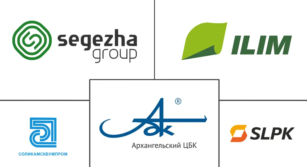 Major players in Russia Corrugated Packaging industry