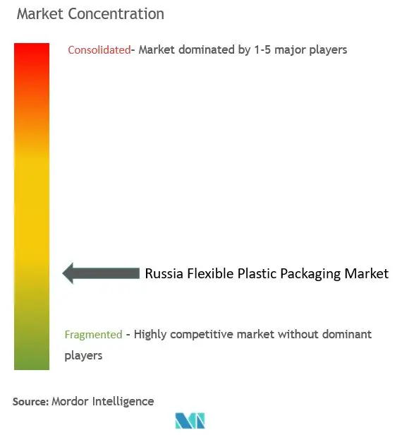 Russia Flexible Plastic Packaging Market Concentration