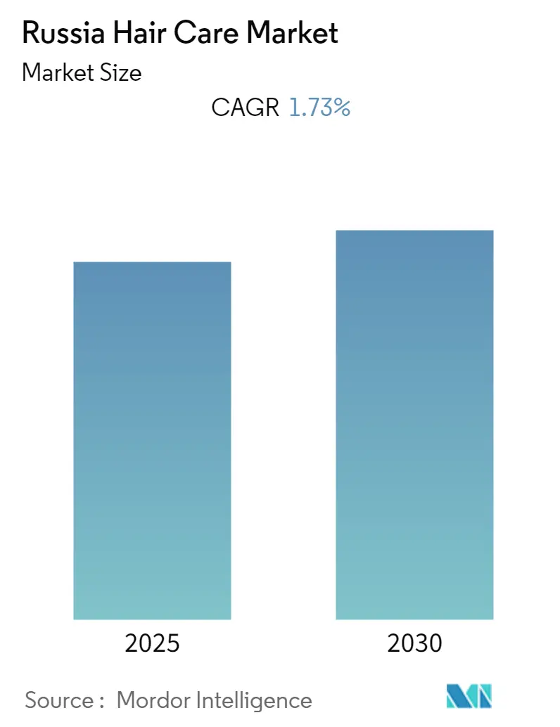 Russia Hair Care Market Summary