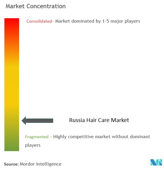 Soins capillaires en RussieConcentration du marché