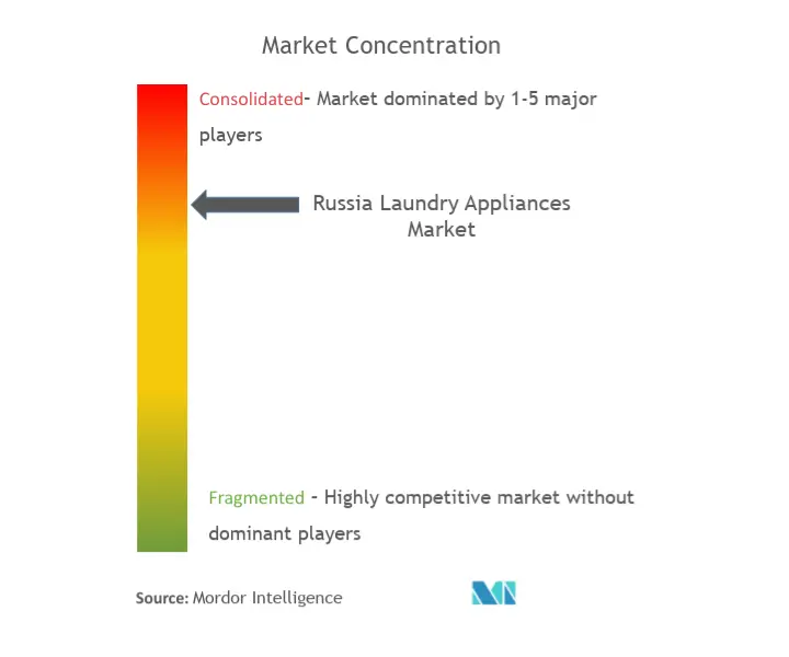 ロシアの洗濯家電市場集中度