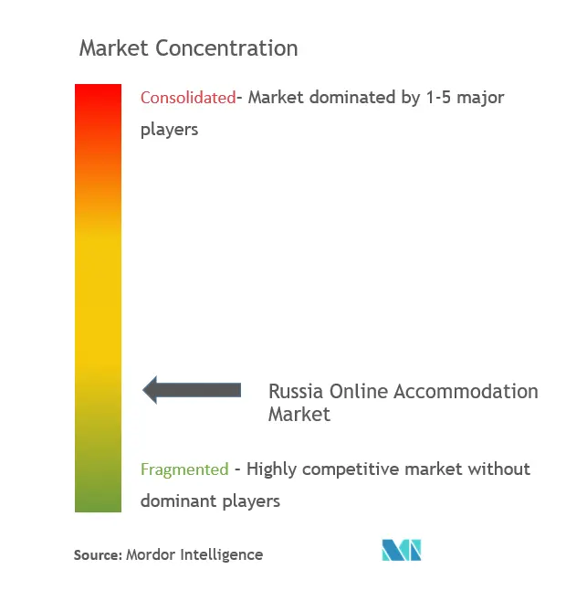 Hébergement en ligne en RussieConcentration du marché