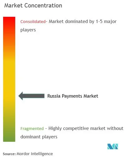 ロシアの支払い市場集中度