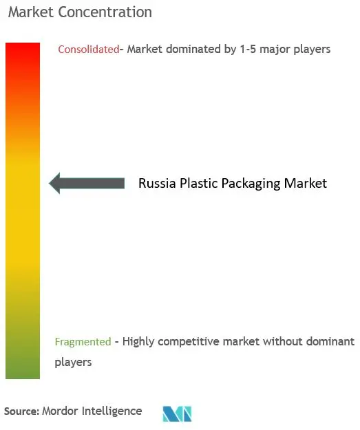 ロシアのプラスチック包装市場の集中度