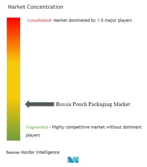 Russia Pouch Packaging Market Concentration