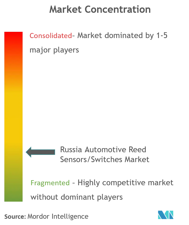 Russia Automotive Reed Sensors Switches Market_Market Concentration.png