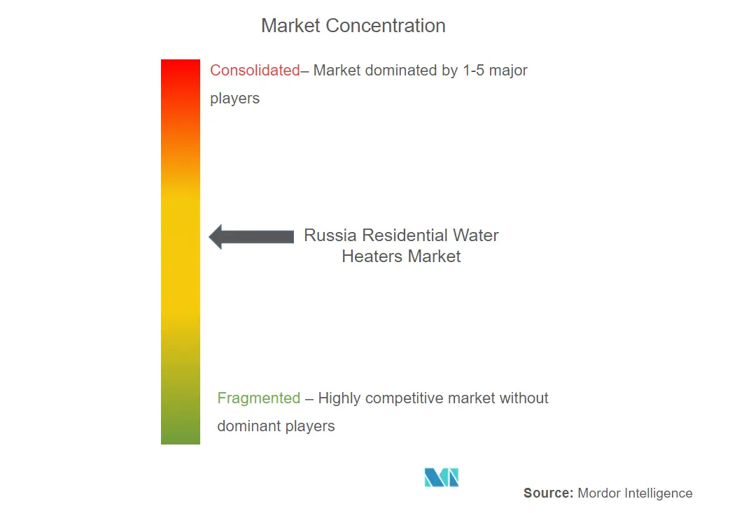 Thermex, SST Group, Haier, Vogel Flug ltd., Lemax.