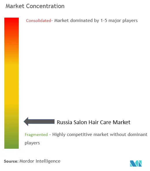 Concentração do mercado de cuidados capilares em salões de beleza na Rússia