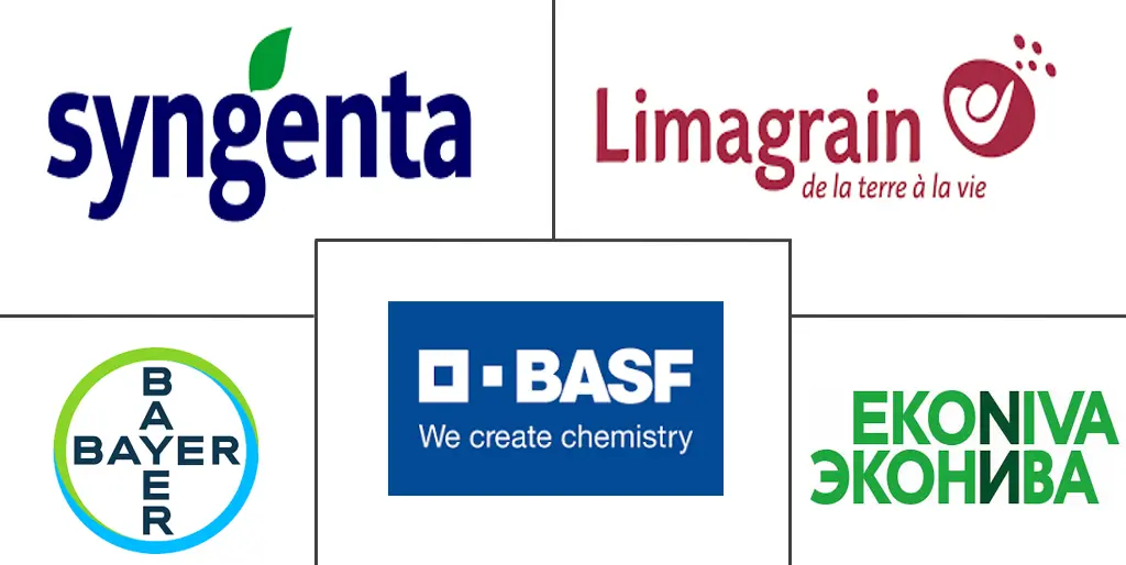 I principali attori dell'industria sementiera russa