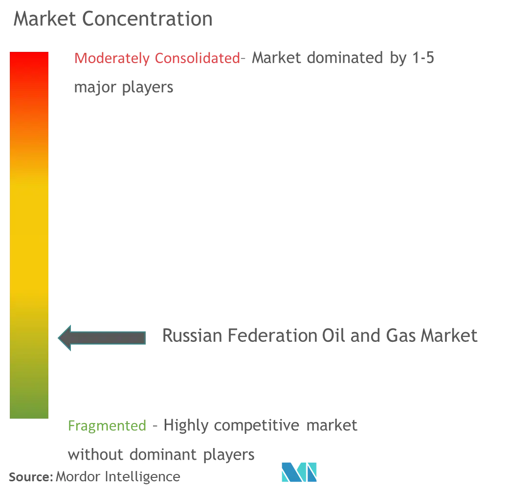 Concentration du marché pétrolier et gazier de la Fédération de Russie