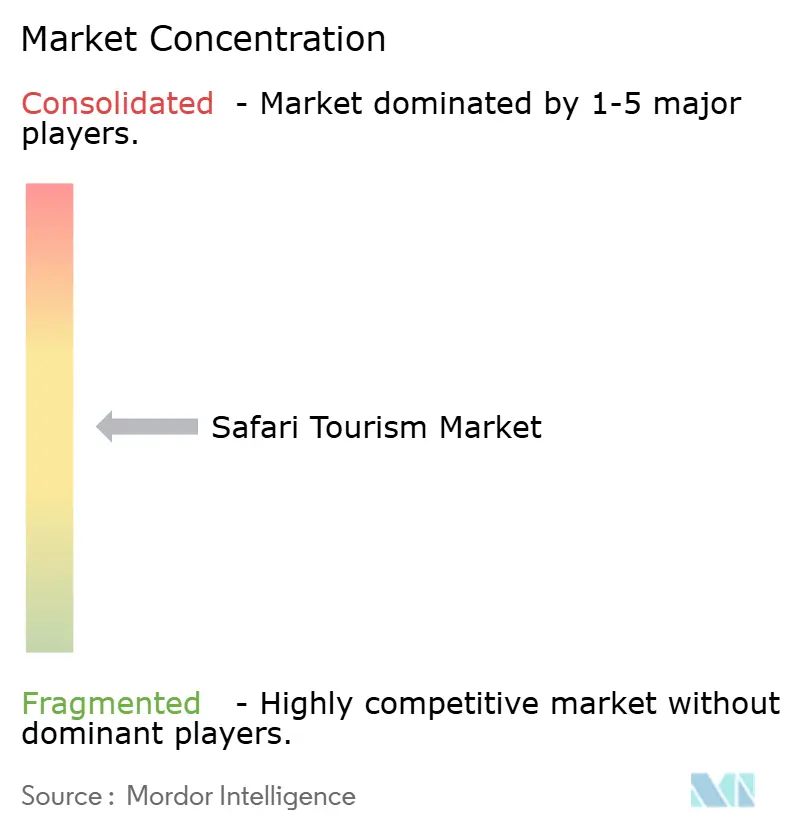 Safari Tourism Market Concentration
