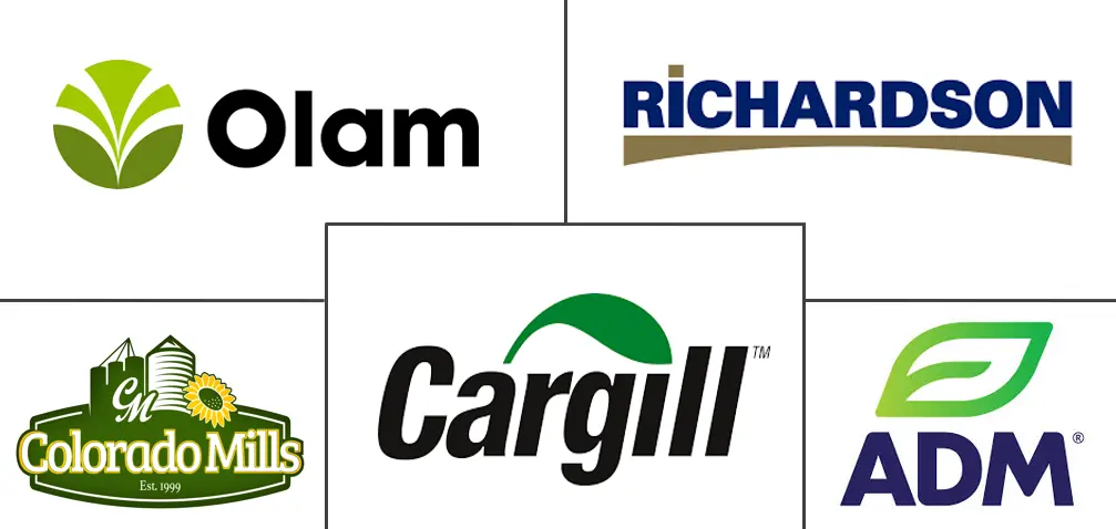 Major players in Safflower Seeds industry