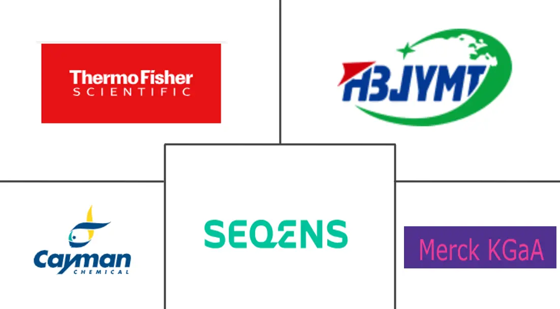 Related Companies Logo