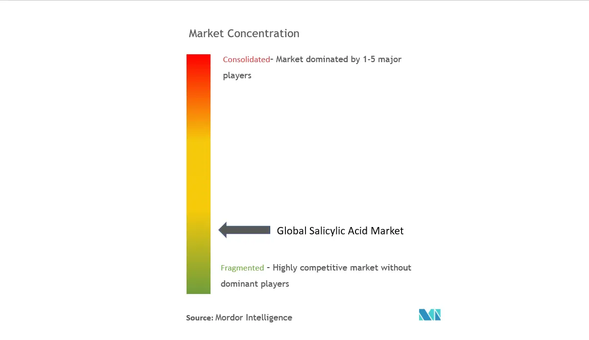 Salicylic Acid Market Concentration