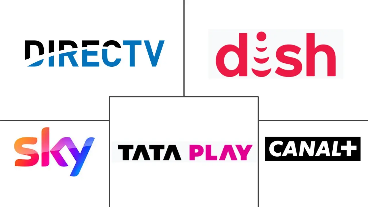 Principales actores en Mercado de Televisión por Satélite industria