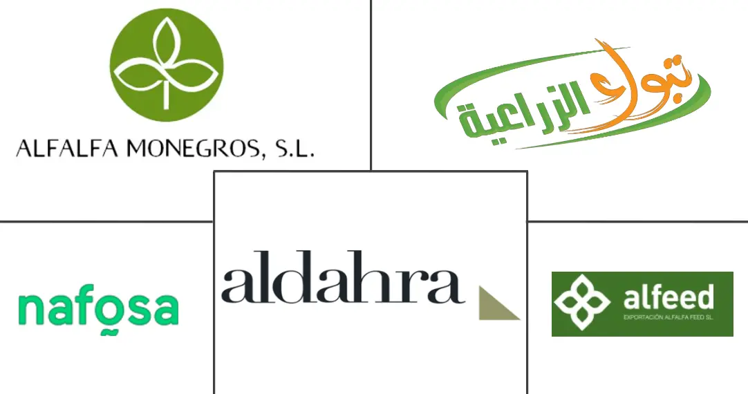 Related Companies Logo