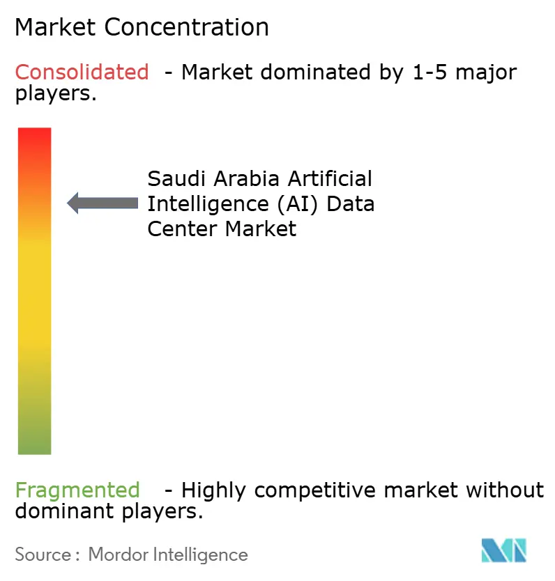 Saudi Arabia Artificial Intelligence (AI) Optimised Data Center Market Concentration