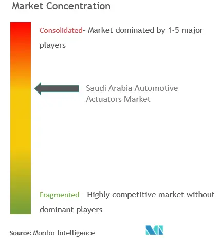 Saudi Arabia Automotive Actuators Market Concentration