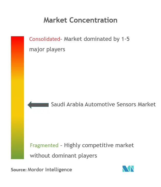 サウジアラビアの自動車用センサー市場集中度