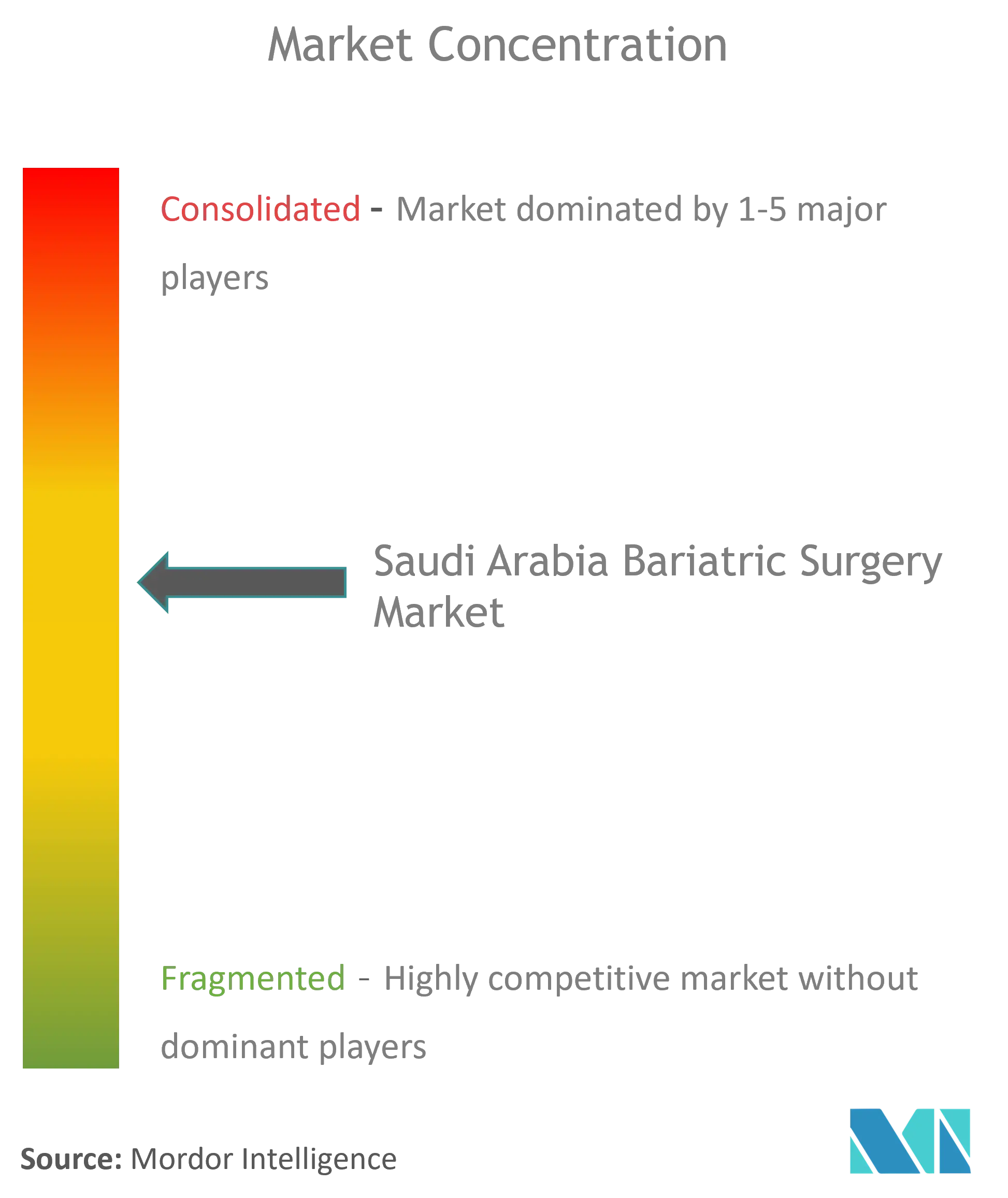 サウジアラビア肥満外科市場集中度