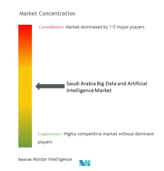 サウジアラビアのビッグデータと人工知能市場の集中度