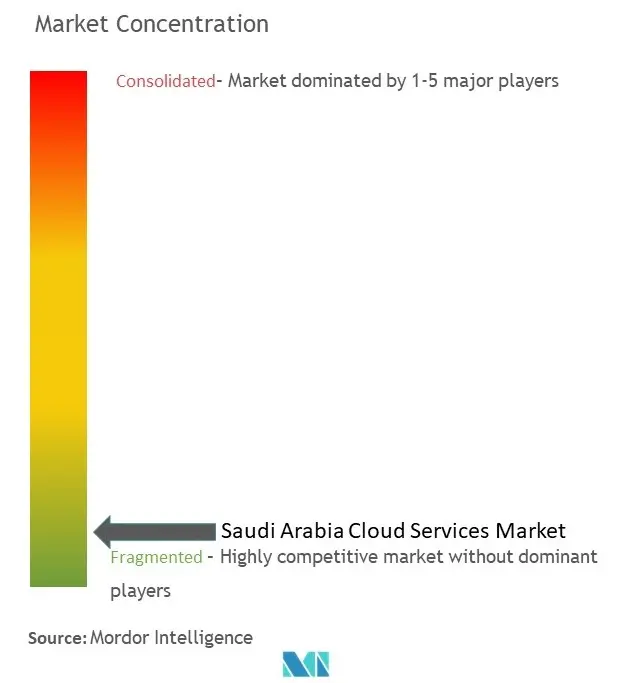 Saudi Arabia Cloud Services Market Concentration