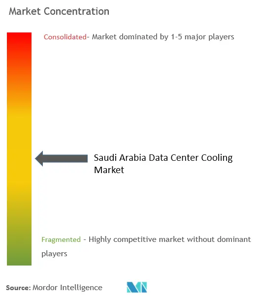 Saudi Arabia Data Center Cooling Market Concentration