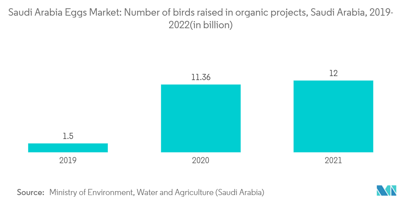 Saudi Arabia Eggs Market: Number of birds raised in organic projects,  Saudi Arabia, 2019- 2022(in billion)