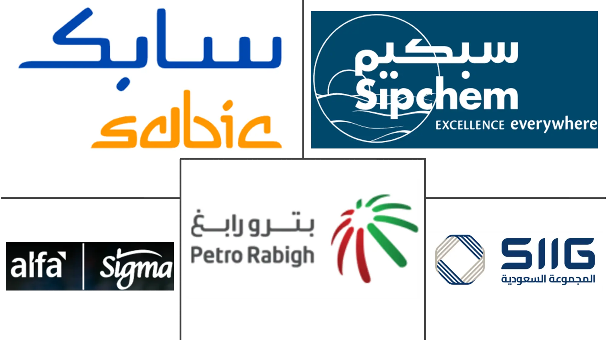 Major players in Saudi Arabia Engineering Plastics industry