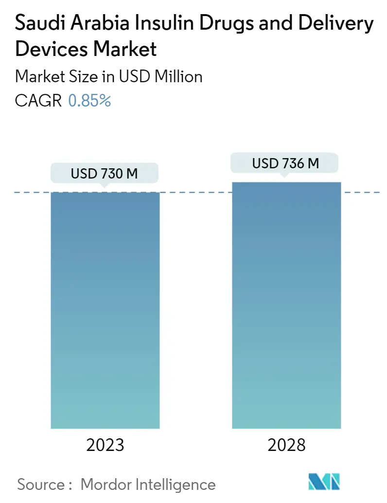 Saudi Arabia Insulin Drugs And Delivery Devices Market Summary