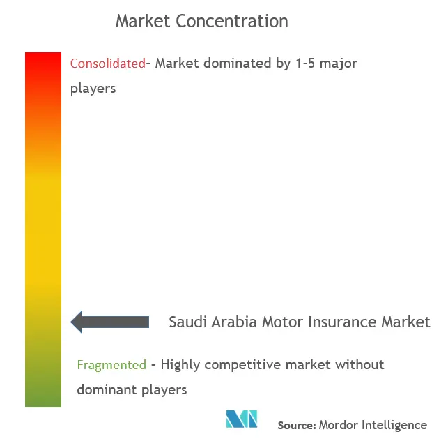 Saudi Arabia Motor Insurance Market Concentration