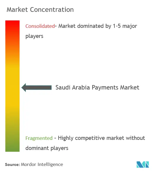 Saudi Arabia Payments Market Concentration