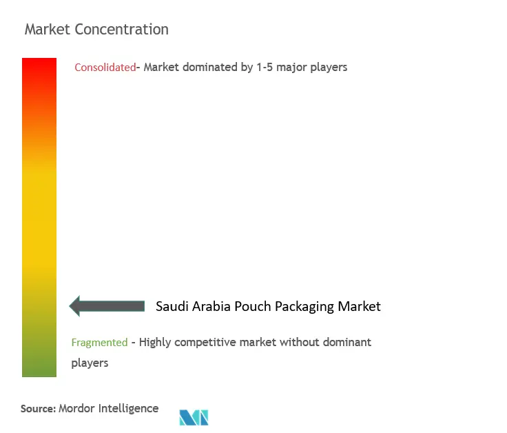 Saudi Arabia Pouch Packaging Market Concentration