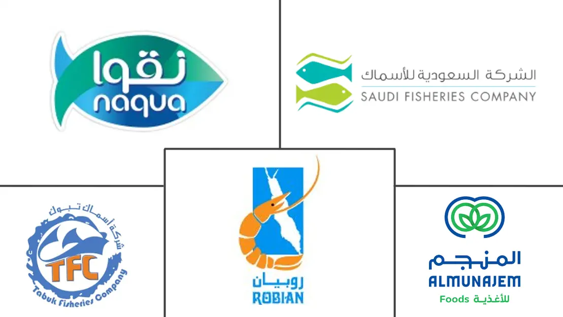 사우디 아라비아 바카라사이트 기가 시장 주요 업체