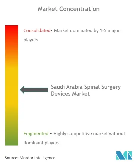 Saudi Arabia Spinal Surgery Devices Market Concentration