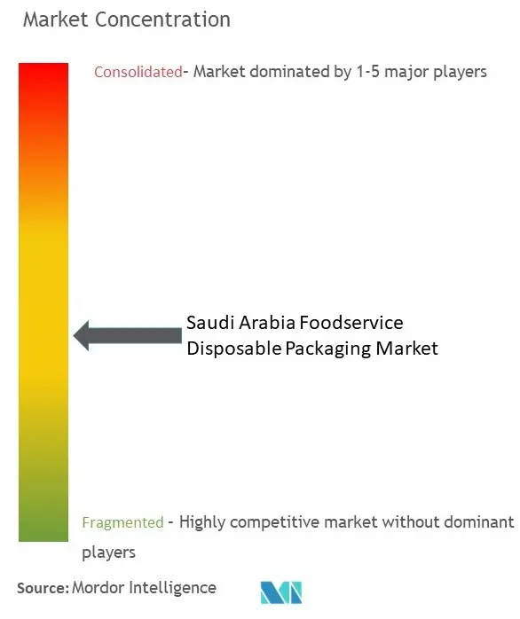 사우디아라비아 식품 서비스 일회용 포장 시장 집중도