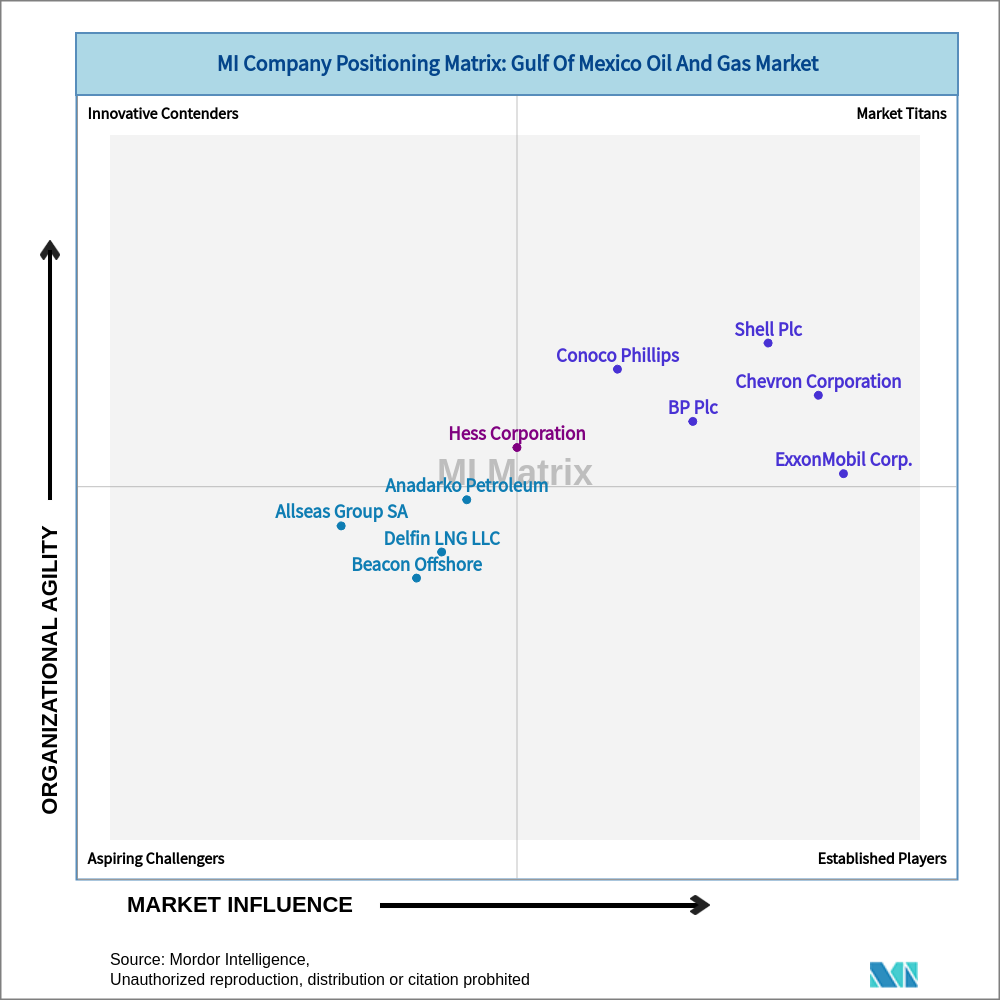 Matrix of Gulf Of Mexico Oil And Gas Market