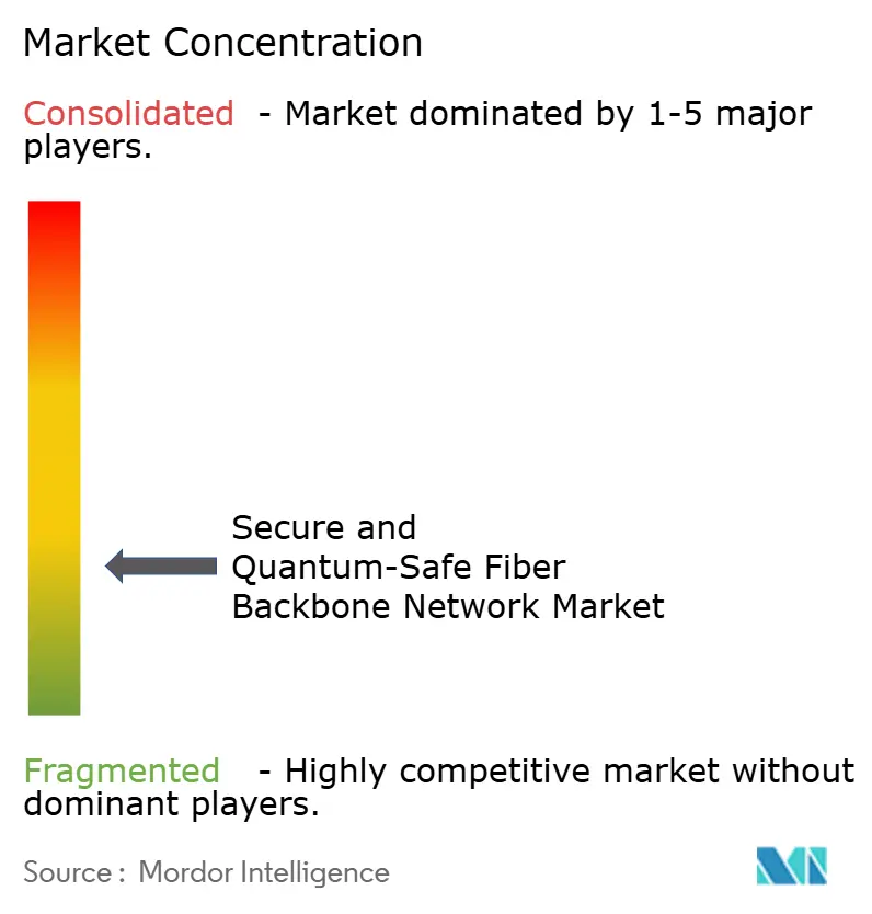 Secure and Quantum-Safe Fiber Backbone Network Market Concentration
