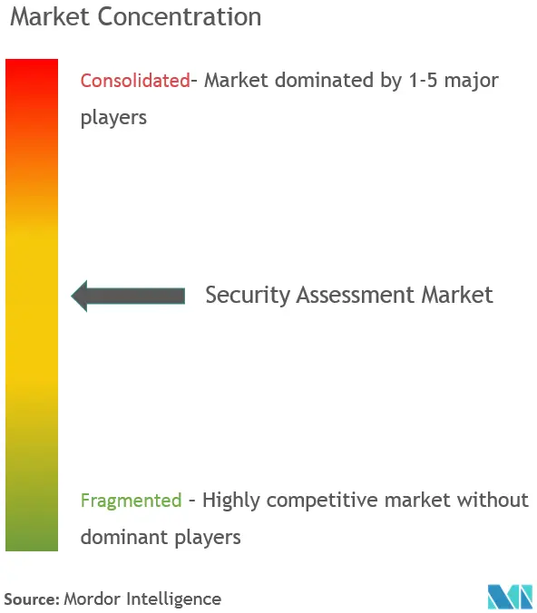 Concentração do mercado de avaliação de segurança