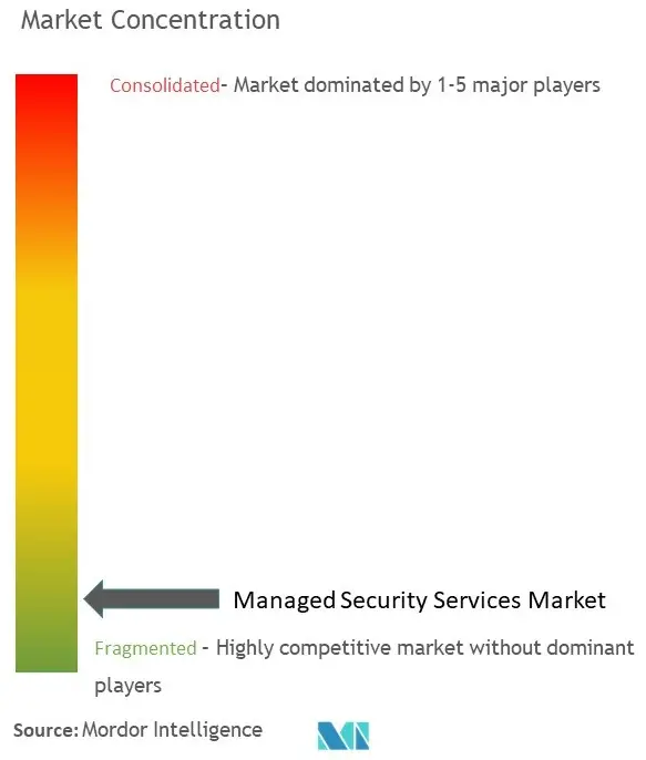 Managed Security Services Market Concentration.jpg