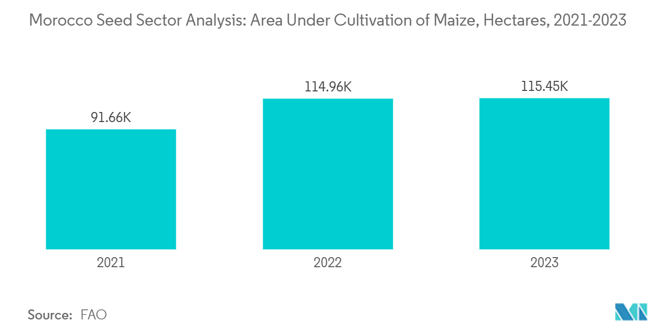 Morocco Seed Market: Morocco Seed Sector Analysis: Area Under Cultivation of Maize, Hectares, 2021-2023