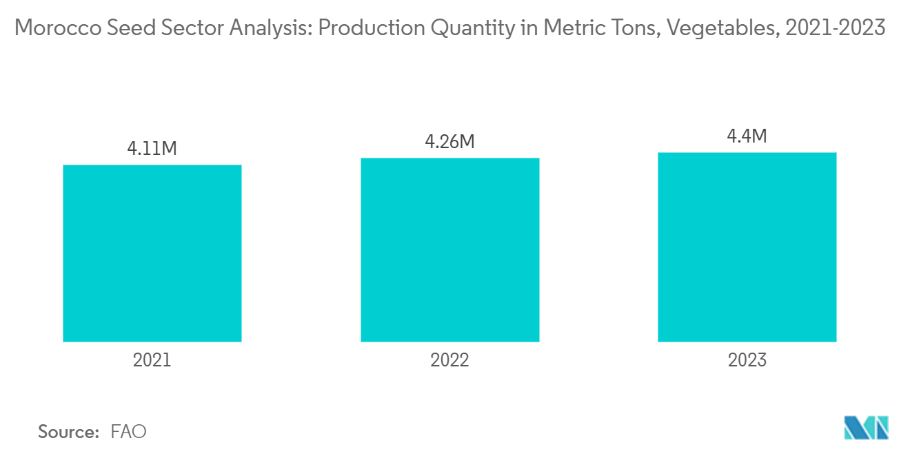 Morocco Seed Market: Morocco Seed Sector Analysis: Production Quantity in Metric Tons, Vegetables, 2021-2023