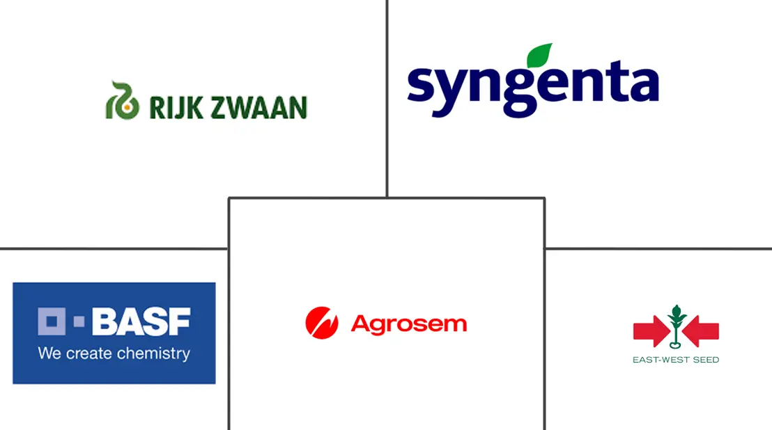 Morocco Seed Market Major Players