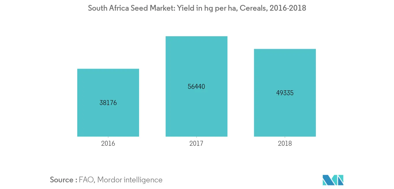 Thị trường hạt giống Nam Phi