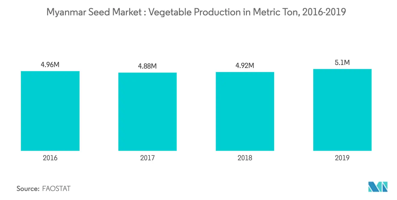 Myanmar Seed Market Growth