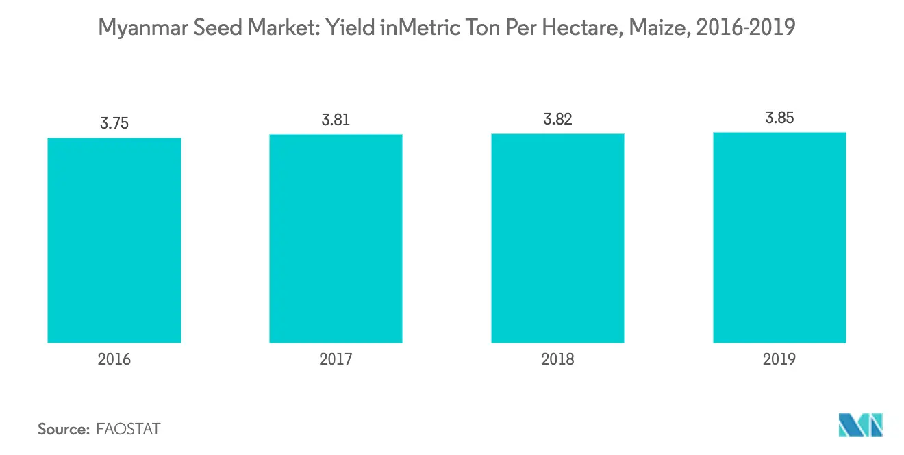 Myanmar Seed Market Key Trends