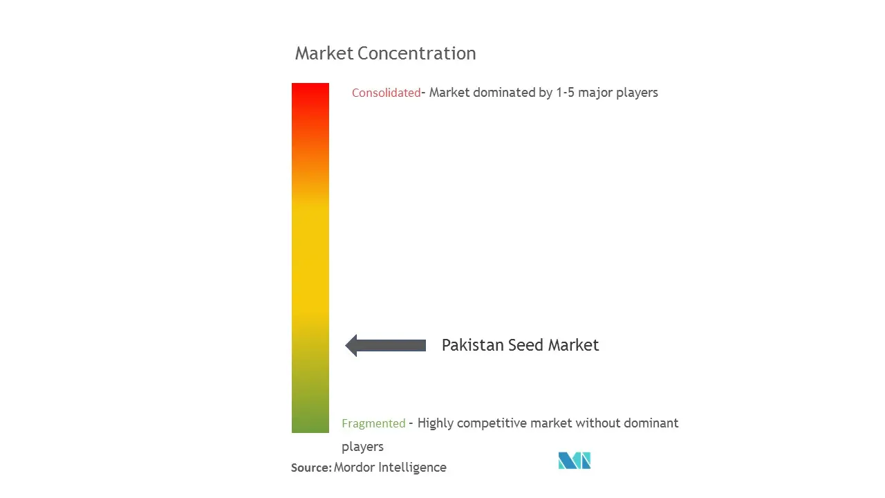 Pakistan Seed Market Analysis