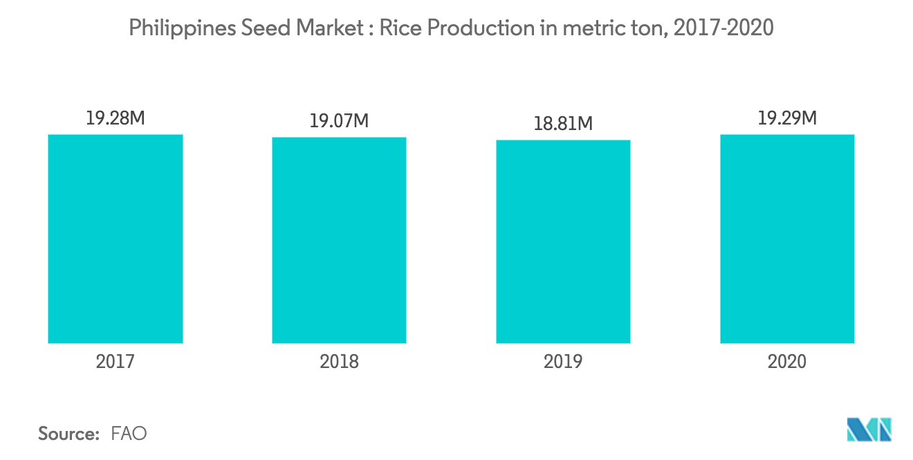 rice production in Philippines